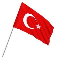 Sopalı Bayrak 30X45