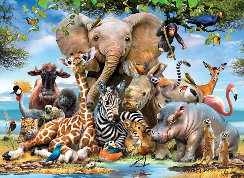Gülümse /Africa Smile 1000 Li Puzzle