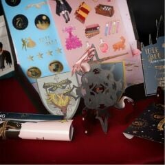 Wizarding World - Harry Potter - Hermione Yule Bal