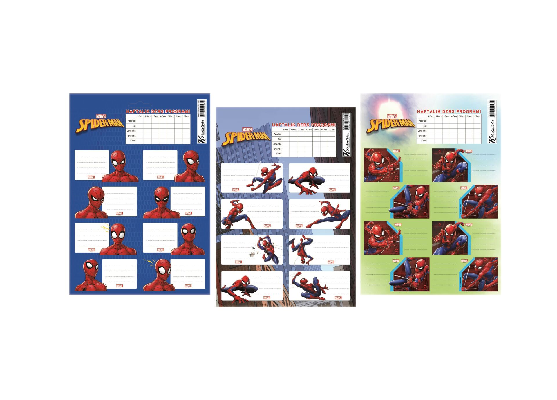 Spider Ders Prog.3Lü Etiket