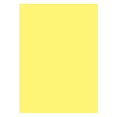 Keskin Color 50*70Cm 160Gr Ham.Boy.Fon Kartonu-A.Sarı