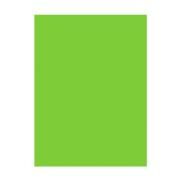 Keskin Color 50*70Cm 160Gr Ham.Boy.Fon Kartonu-F.Yeşil