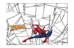 Spider A4 Çıtçıtlı Dosya (Plastik)