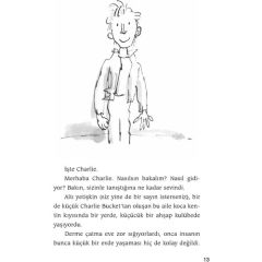 Can Sanat Roald Dahl Charlıe'Nin Çikolata Fabrikas