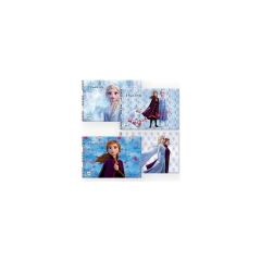 Frozen Iı 25*35 15 Yaprakresim Defteri