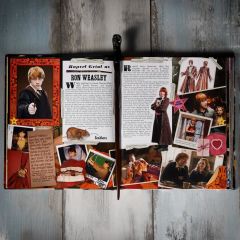 Wizarding World - Harry Potter Asa - Ron Weasley