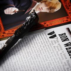 Wizarding World - Harry Potter Asa - Ron Weasley