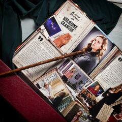 Wizarding World - Harry Potter Asa - Hermione Gran