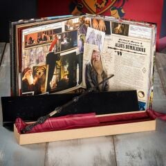 Wizarding World - Harry Potter Asa - Albus Dumbled