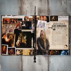 Wizarding World - Harry Potter Asa - Albus Dumbled