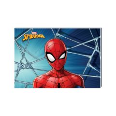 Spider 25*35 24 Yaprakpp Kap.Tel Dik.Resim Defteri