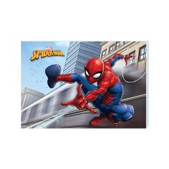 Spider 25*35 24 Yaprakpp Kap.Tel Dik.Resim Defteri
