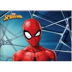 Spider 25*35 24 Yaprakpp Kap.Tel Dik.Resim Defteri