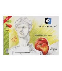 Alex Resim Defteri 50X70 Spiralli 120 Gr 20 Yp