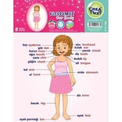 Vücudumuz ( Kız) Eğitim Etiketleri