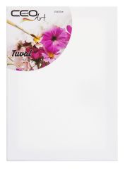 Ceoart Tuval 25X35 (Düz)